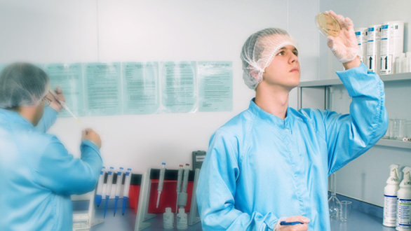 ITH Pharma - Quality Control 1